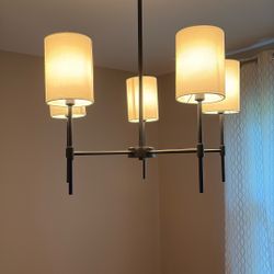Black Light Fixture