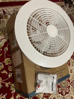 Fan