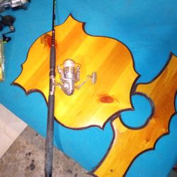 Fishing Pole With Rod 