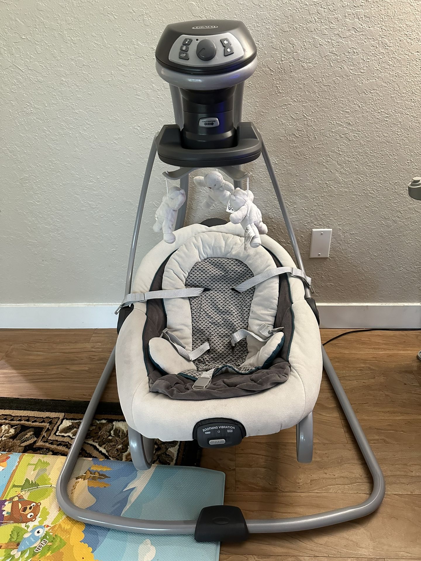 Graco DuetSoothe Swing and Rocker