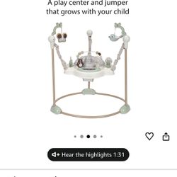 Baby Bouncer