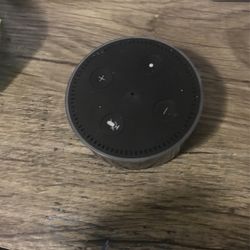 Echo Dot