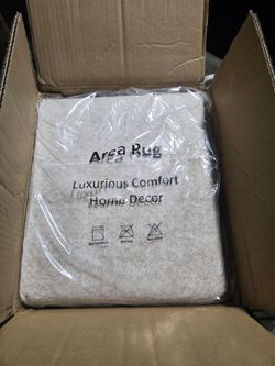 6×9 Rug area