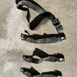 1973-79 Bench Seat Belts OEM