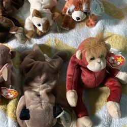 Original Beanie Babies Ty