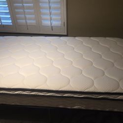 Bed Frame foldable twin with new mattress