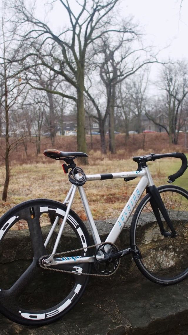 Grey Aventon 