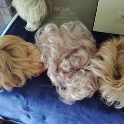 Raquel Welch's wigs short hair