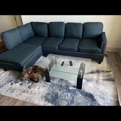 Navy Blue Couch