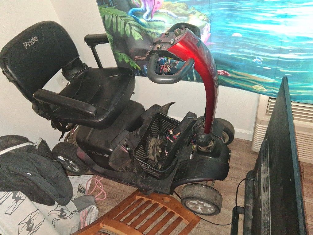 Electric Scooter 