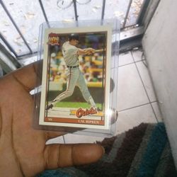 Baseball Cards