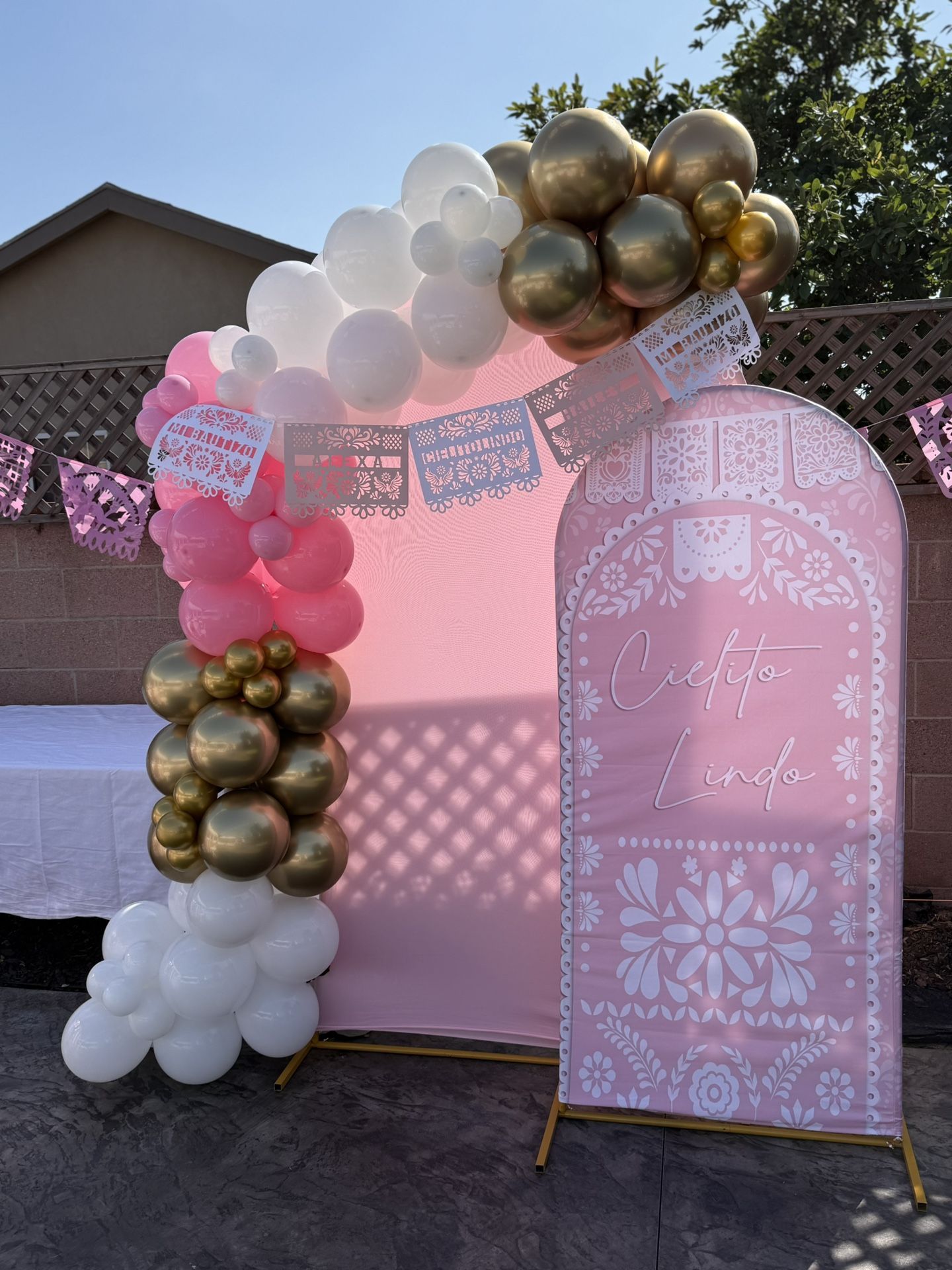 Party Backdrops