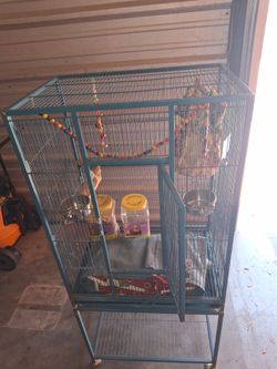 Bird Cage