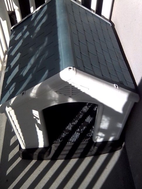 Dog House
