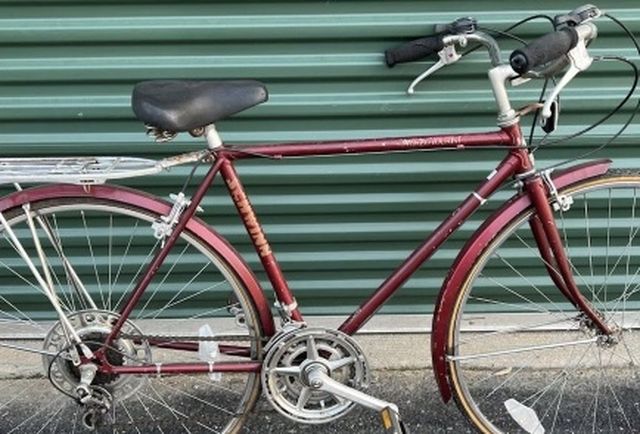 World tourist schwinn sales