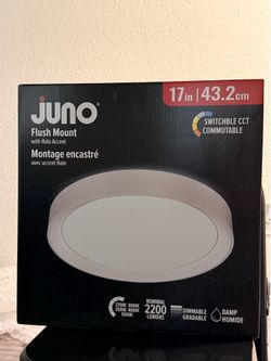 Ceiling light