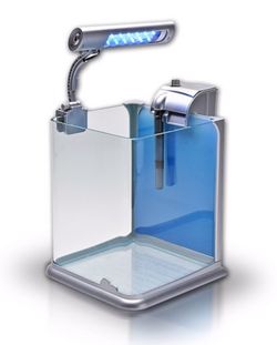 BRAND NEW Aquatop 2 gallon glass fish tank with light and filter