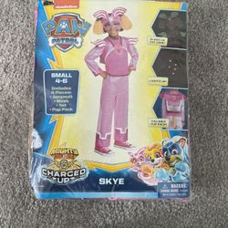 Paw Patrol Custom Size 4-6