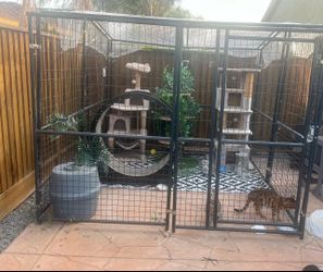 Large Kennel