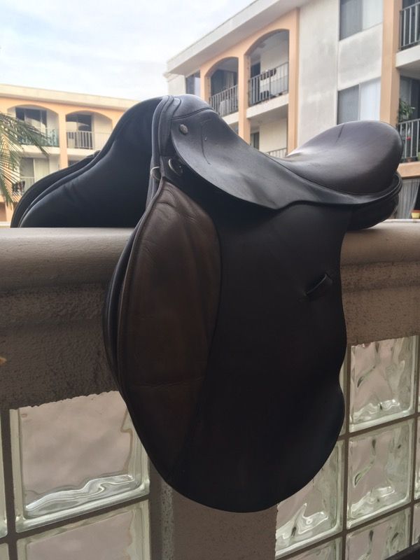 Jeffries All Purpose English saddle with leathers, stirrups, much more.