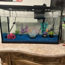 TopFin 10g Fish Tank Setup