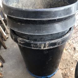 5 Gallon Plant 🪴 Pots Strong Plastic $5 Each 3 Available South La 90043 Close To Homedepot  