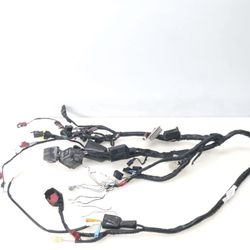 2004 Honda CBR 600 Wire Harness 