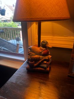 Duck and Books Novelty Table Lamp