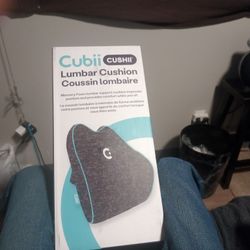 Cubii Lumber Cushion
