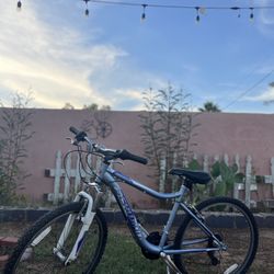 Schwinn Mountain Bike 