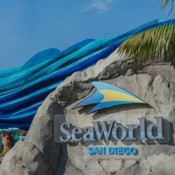 2 SeaWorld Tickets For Today