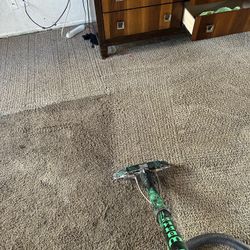 Carpet Cleaner