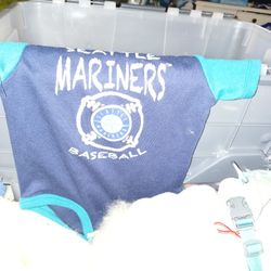 Baby Tshirt
