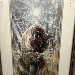 Vivi K Krandall “Snow Blind” Cougar CUSTOM FRAMED & SIGNED L.E. ART PRINT 188/940 *RARE* 