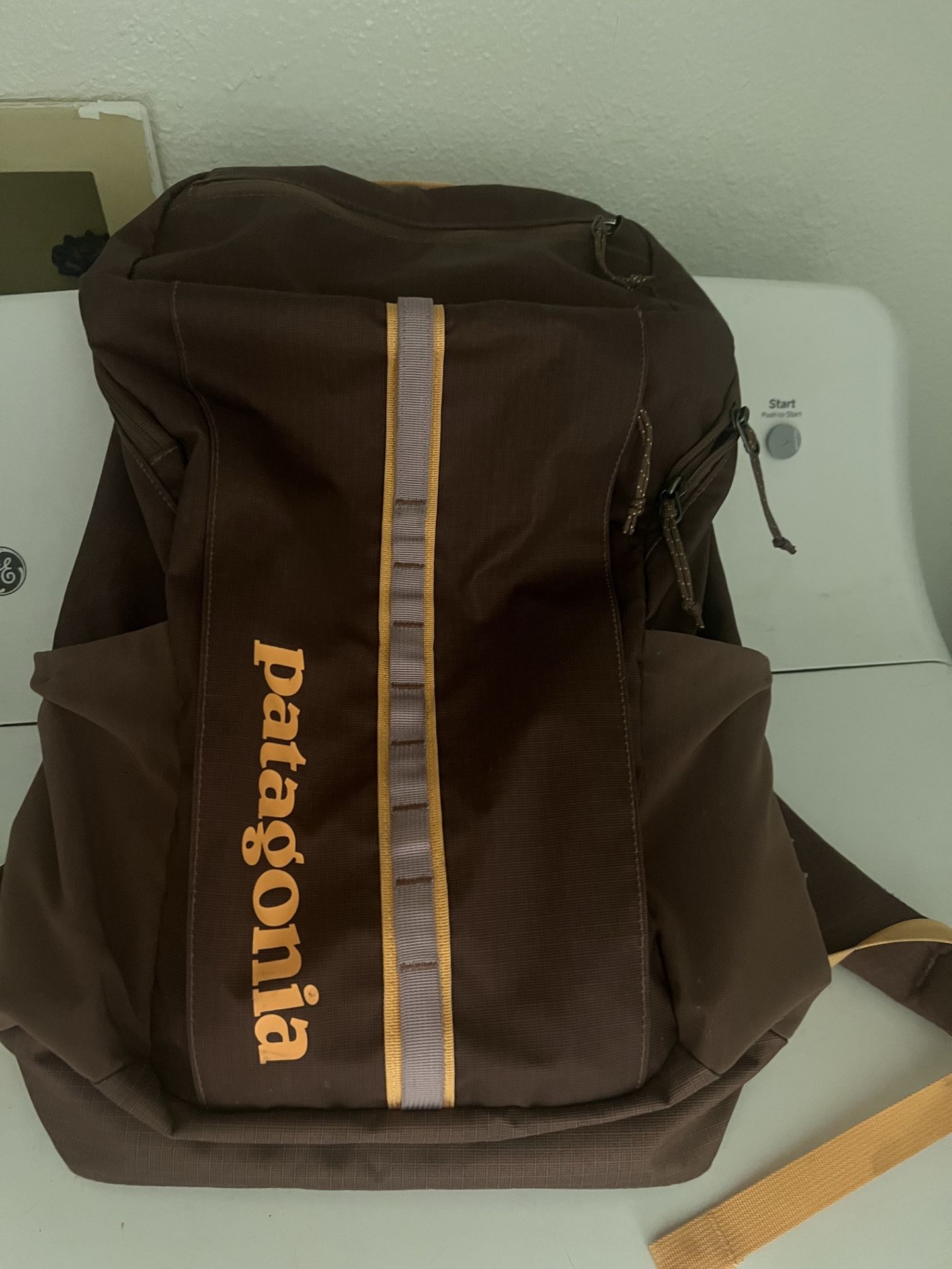 Patagonia bag