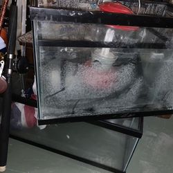 Fish Tank Used