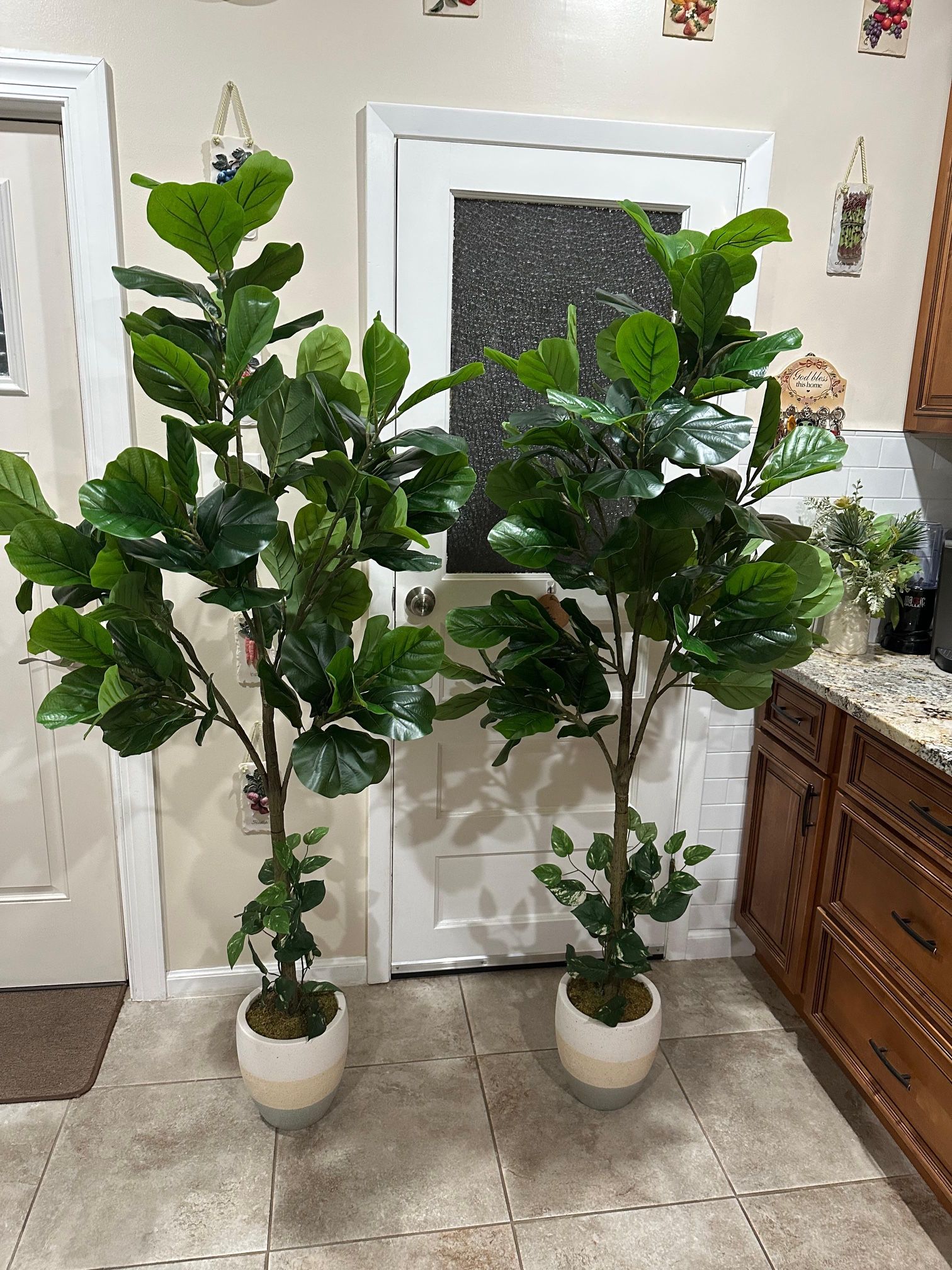 Artificial Plants 6Ft $120 Each