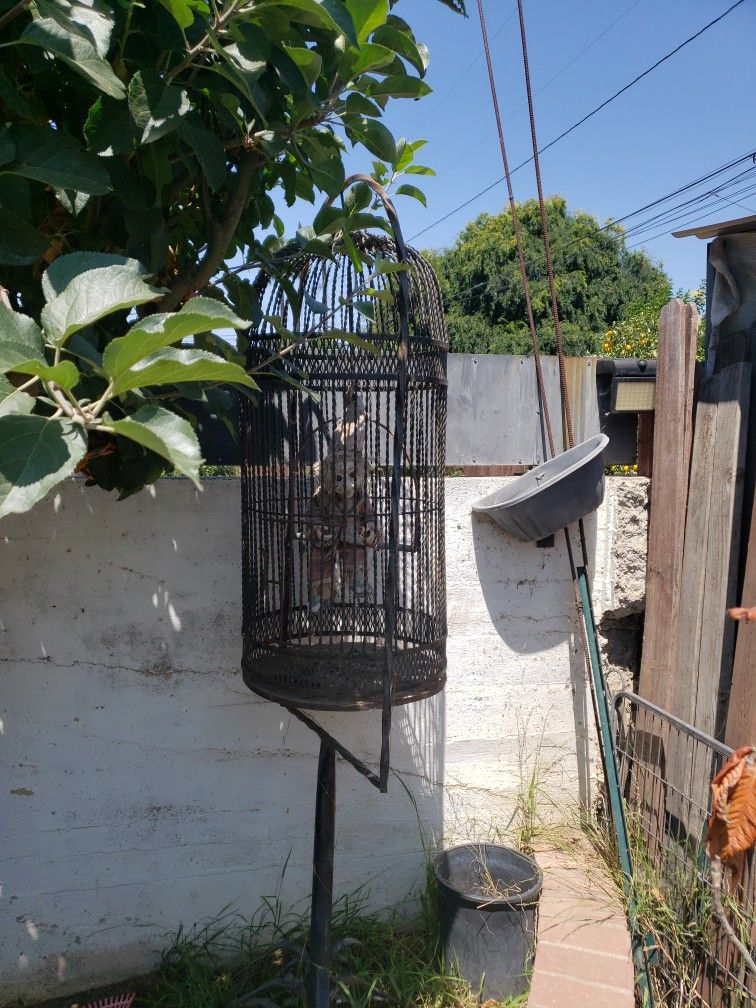 Antique Bird Cage