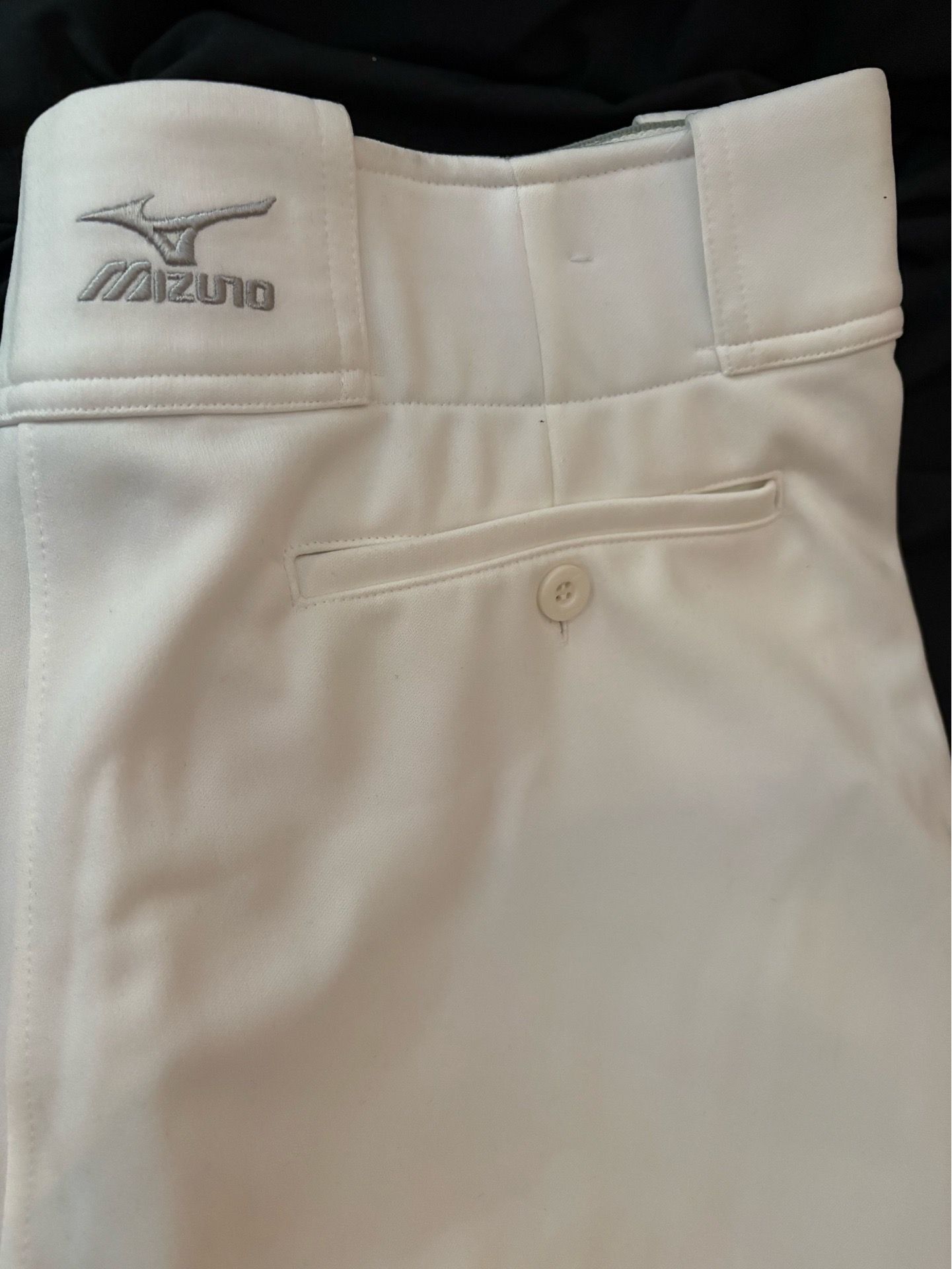 Mizuno baseball pants. XL