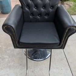 Hair Salon Chair
