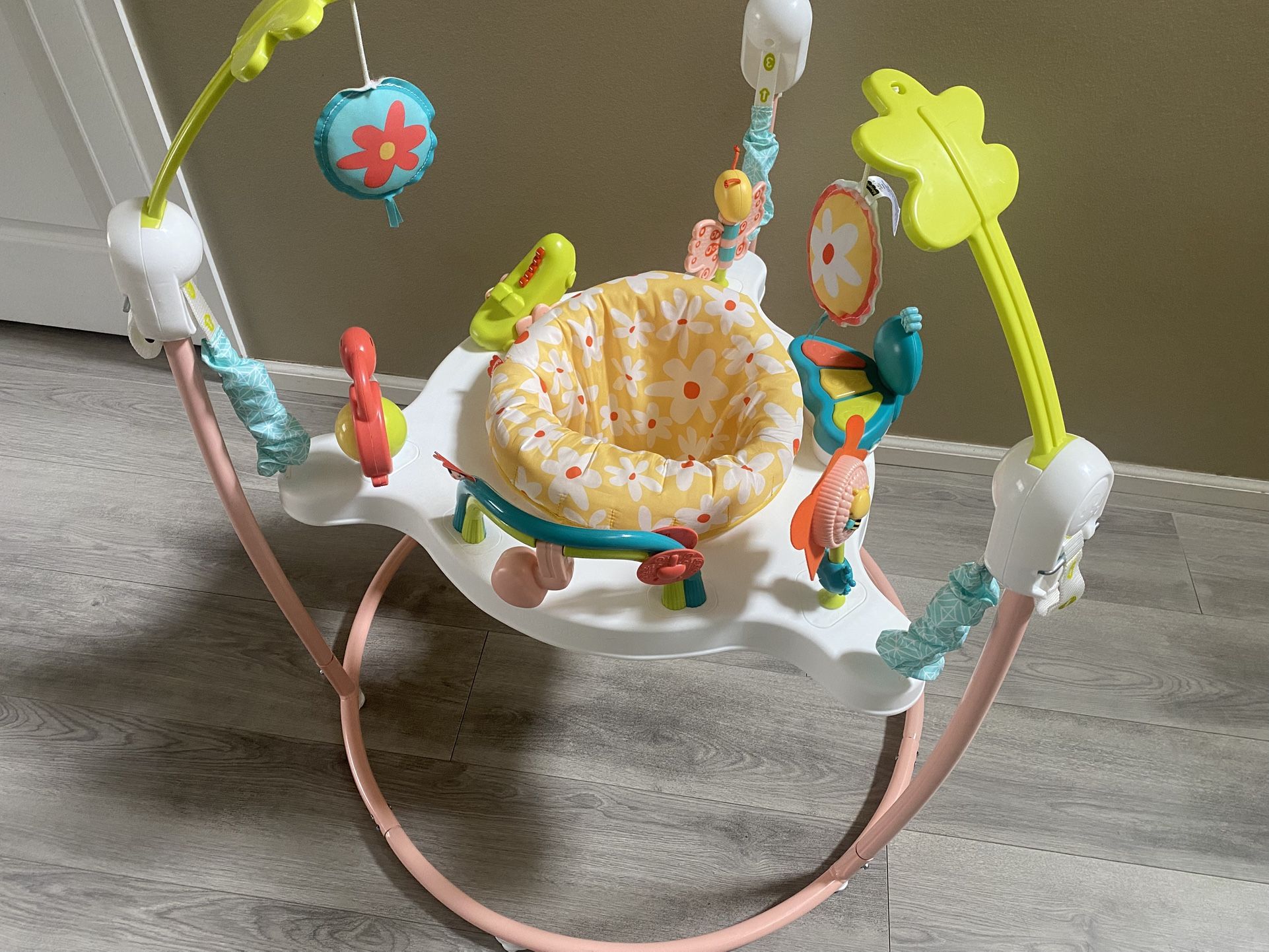 Fisher Price Blooming Fun Jumper
