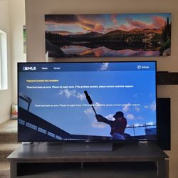 65" Sony Bravia TV 