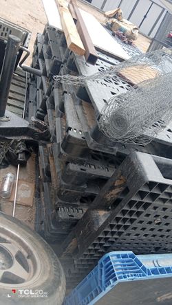 Paletts/Wood$10a Piece Plastic Palllets$ $20  a Piece 