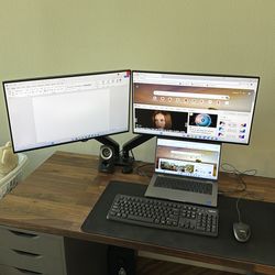 Duel Monitor Arms