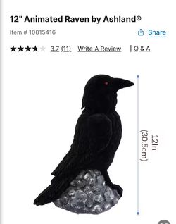 Raven