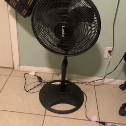 Fan