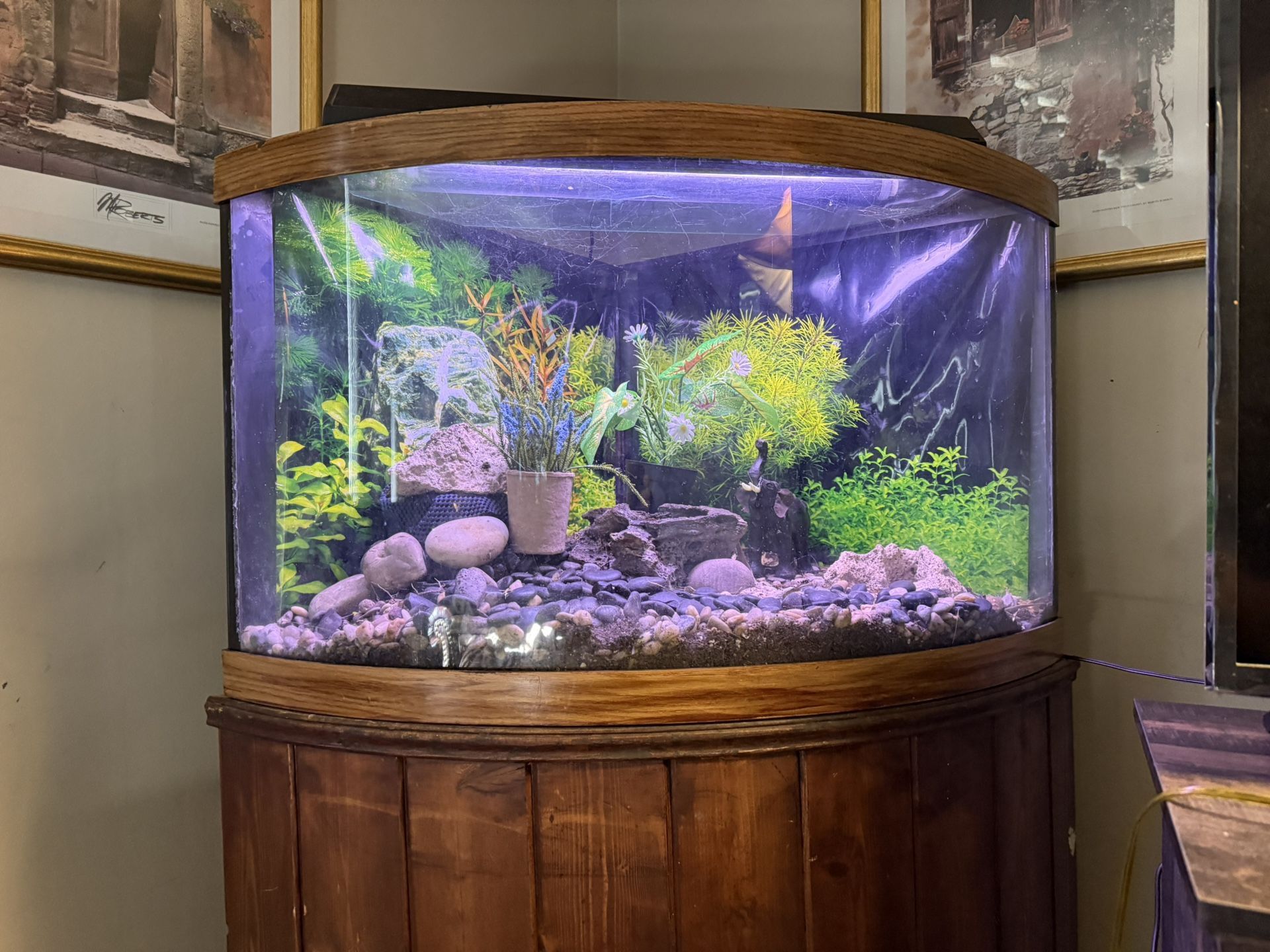 Aquarium Glass Corner Bow Front 4.5 Ft Tall w/stand