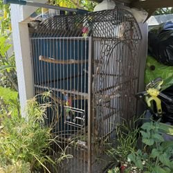 Big Bird Cage 
