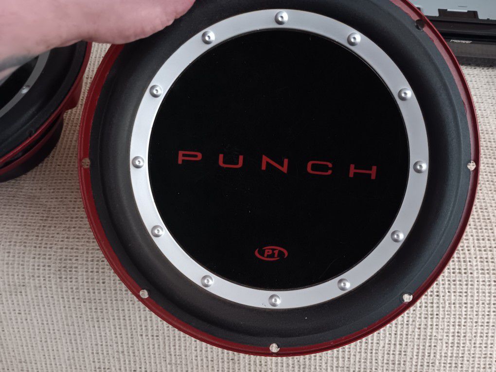 Rockford Fosgate Punch Subs