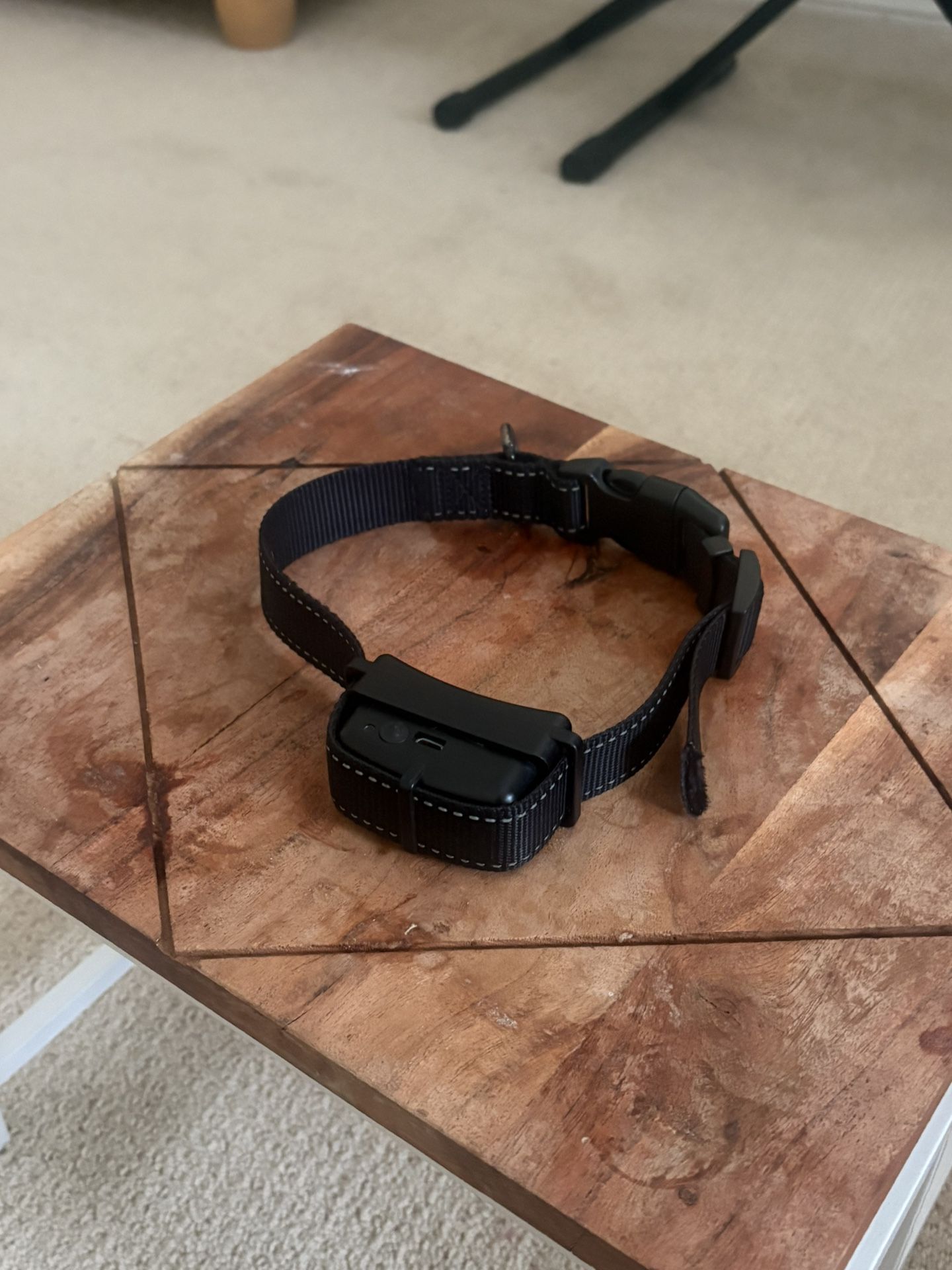 Bravowalk Collar - Large